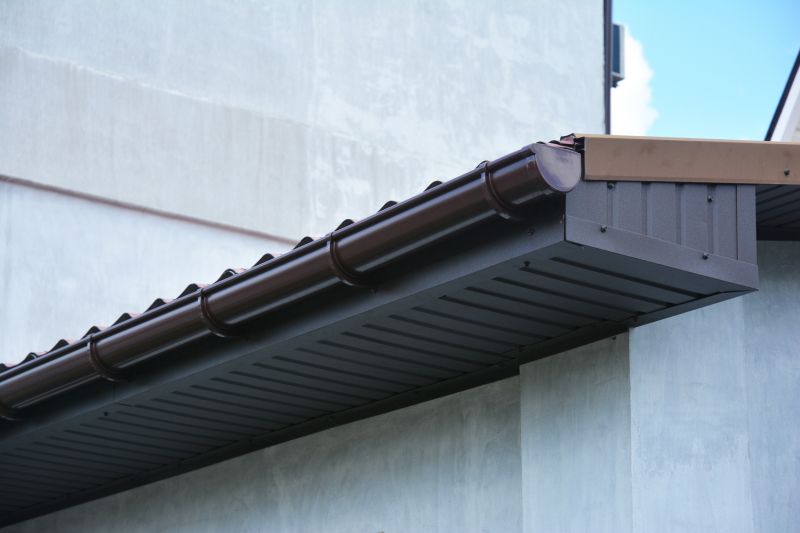 Garage Fascia Replacement in Conroe, TX